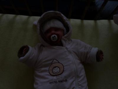 P1000121.JPG