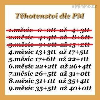 Těhotenství den za dnem..