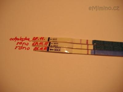 Kubi 28.11..JPG
