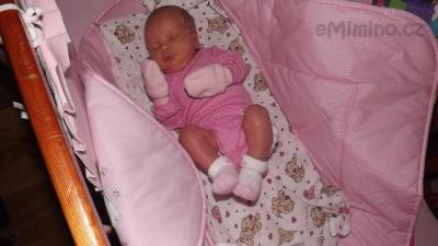 DSCF2678.JPG