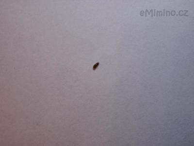 PB280185.JPG