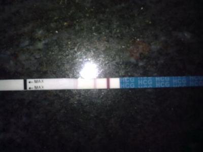 02122011043.jpg
