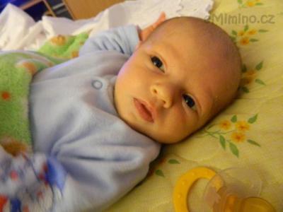 DSCN0619.JPG