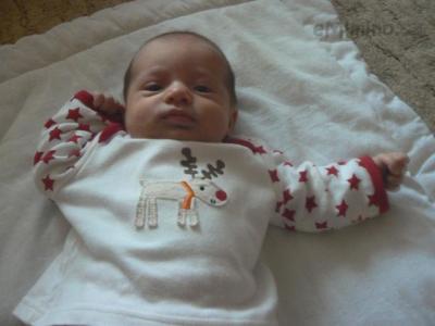 P1040111.JPG