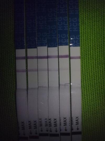05122011064.jpg