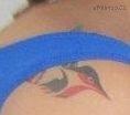 tatoo.jpg