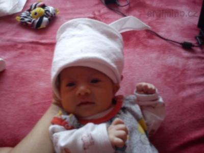 IMG_20111208_103346.jpg