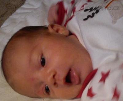 IMG_20111204_124511-1.jpg