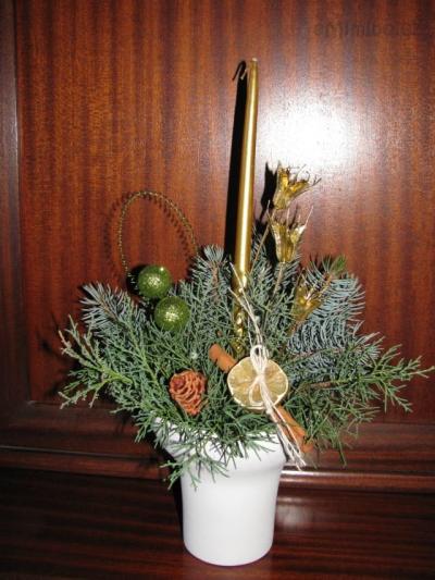 IMG_1883.JPG