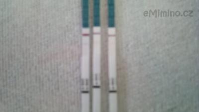 11122011395.jpg