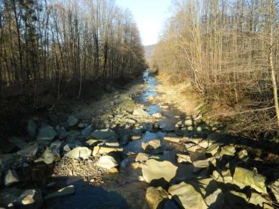 DSCN0887.JPG
