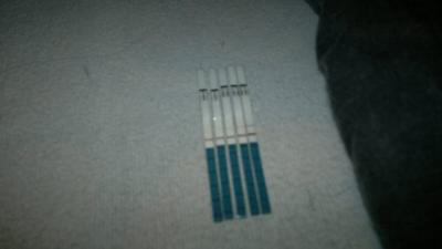 12122011447.jpg