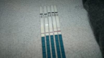 12122011448.jpg