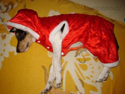 santa 2.JPG