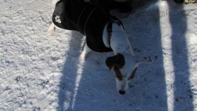 IMG_0368.JPG