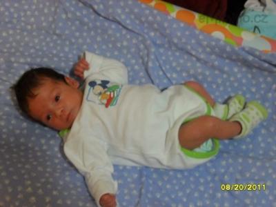 SAM_0547.JPG