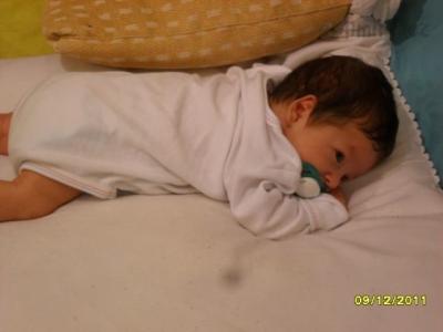 SAM_0730.JPG