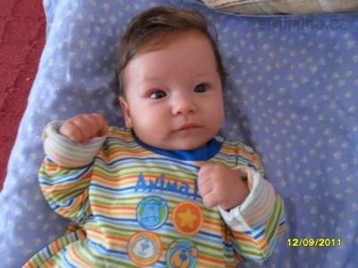 SAM_1105.JPG
