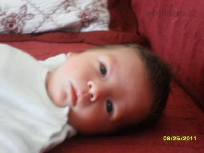 SAM_0559.JPG