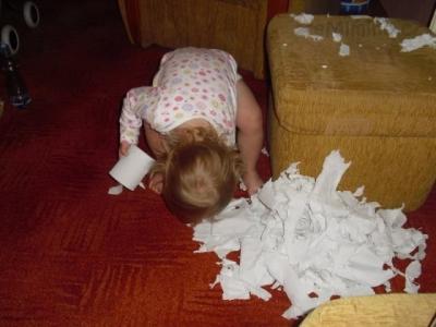 S vervou.jpg