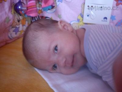 IMG_20111213_091829.jpg