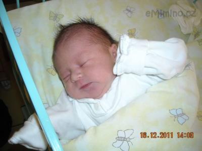 DSCN0847.JPG