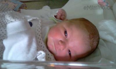 IMAG0049.jpg