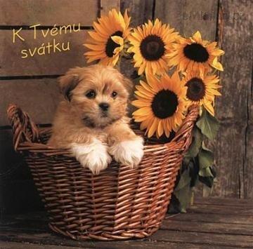 přání k svátku.jpg