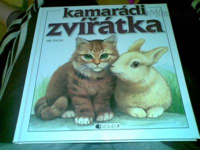 Vánoce a jiné oslavy 040.jpg