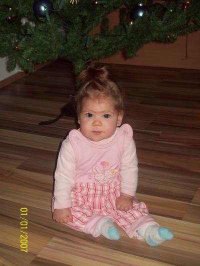 vánoce 2011 011.jpg