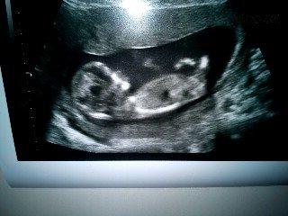 DSC00116_mini.jpg