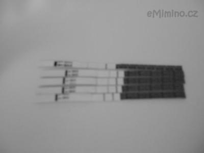 DSCN0196.JPG