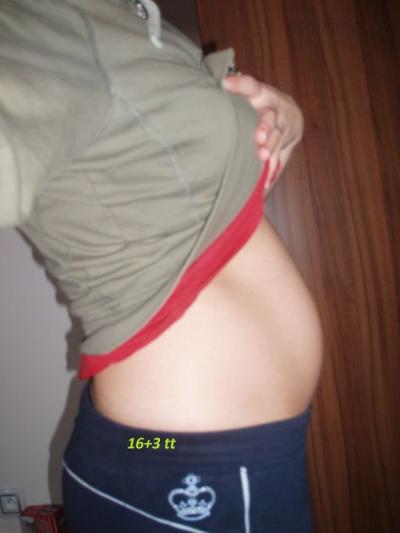 16+3 tt