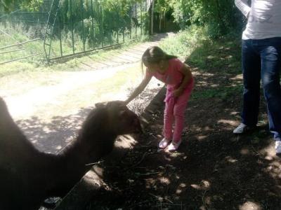 P170711_12.50_[02].jpg