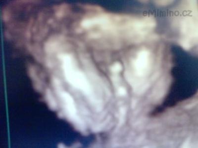 P020112_10.09_[01].jpg