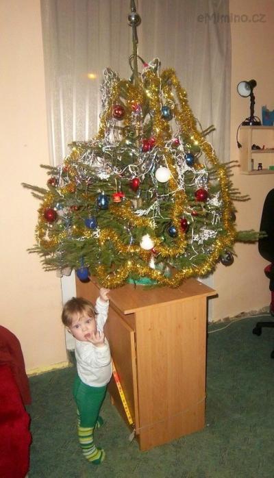 vánoce 2011 a adámek 137.jpg