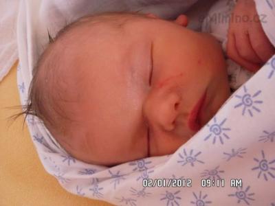 SAM_0118.JPG