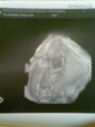 5.1.2012-3D.jpg