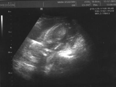 img003.jpg