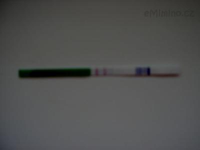 P1010037.JPG