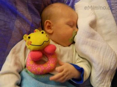 DSCN1430.JPG