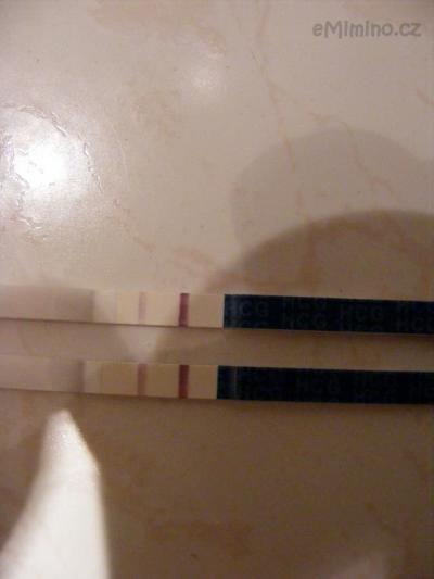 DSCF5001.JPG
