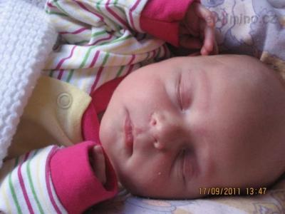 IMG_1784.JPG