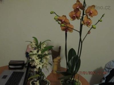 IMG_2133.JPG
