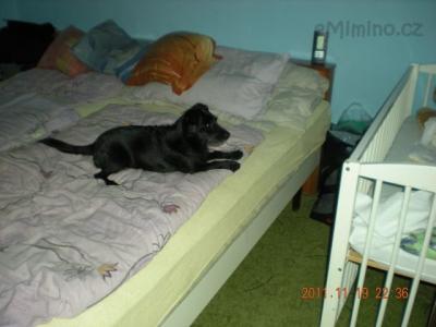 DSCN6618.JPG