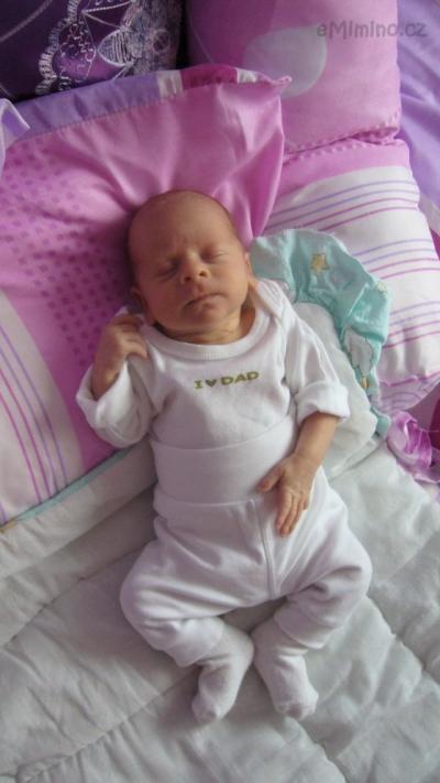 foto 013.jpg