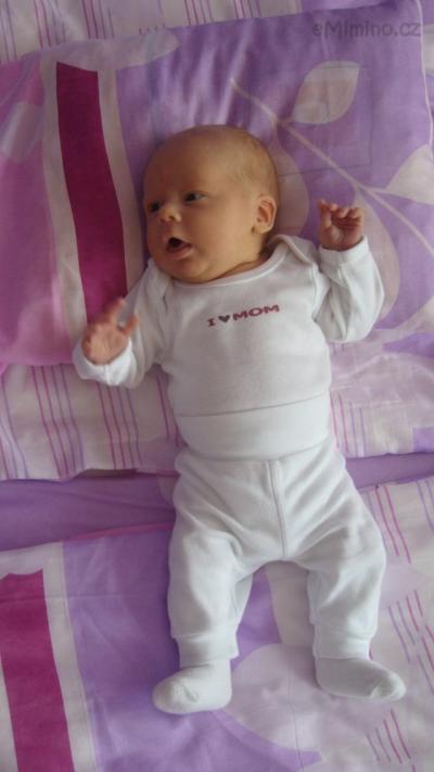 foto 008.jpg