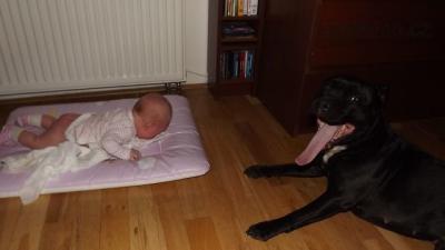 DSCF3480.JPG