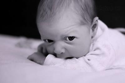IMG_9557.jpg