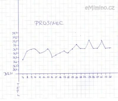 prosinec.jpg